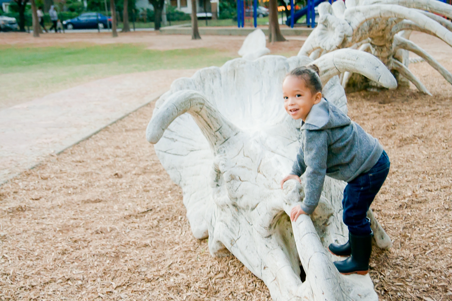 Travis Spark Park Houston's Dinosaur Park! –
