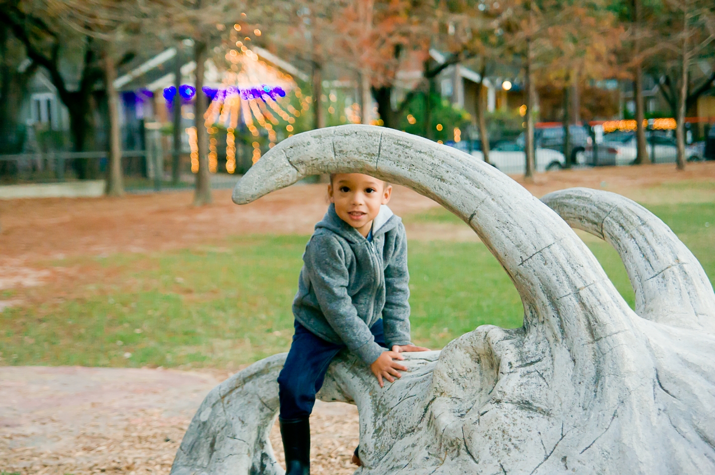 Travis Spark Park Houston's Dinosaur Park! –